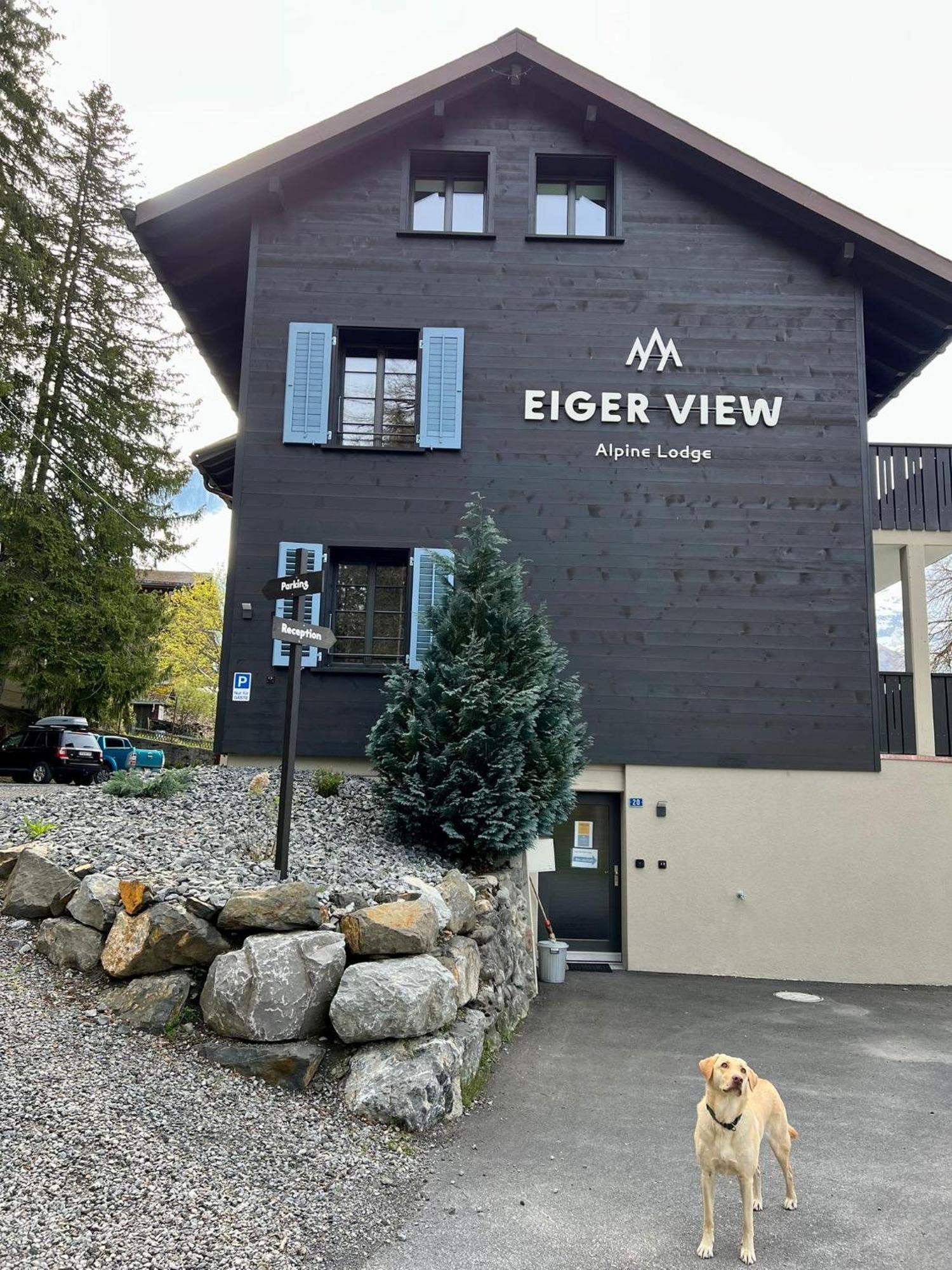 Eiger View Alpine Lodge Гріндельвальд Екстер'єр фото