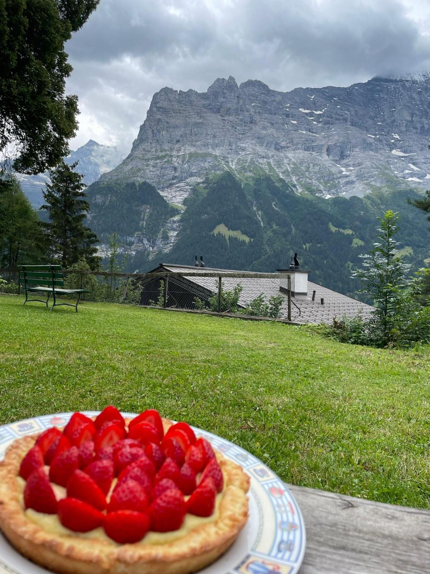 Eiger View Alpine Lodge Гріндельвальд Екстер'єр фото